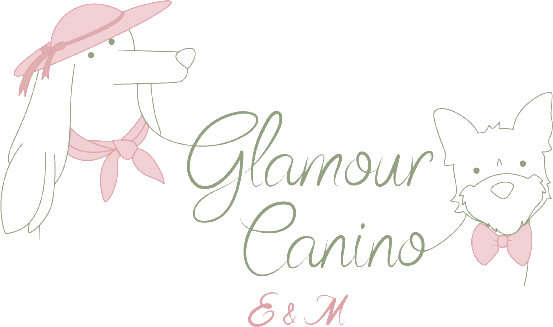 Glamour Canino E&M: dos perritos con sombrero y moño